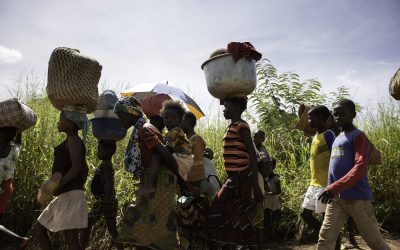 Disasters, Climate Change and Human Mobility in Southern Africa: Consultation on the Draft Protection Agenda